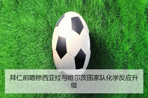 拜仁前瞻穆西亚拉与维尔茨国家队化学反应升级